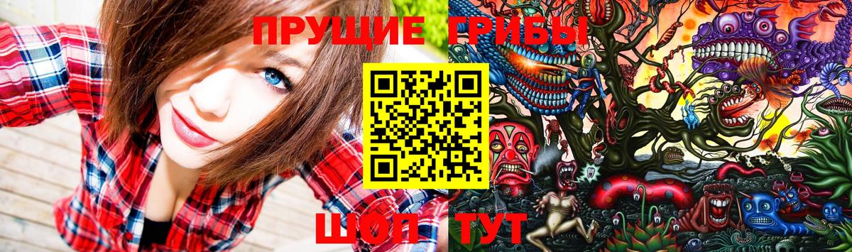 Галлюциногенные грибы Psilocybine cubensis Елец