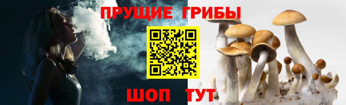 Галлюциногенные грибы Psilocybe  даркнет сайт  Елец  Галлюциногенные грибы прущие грибы  Вход с VPN 