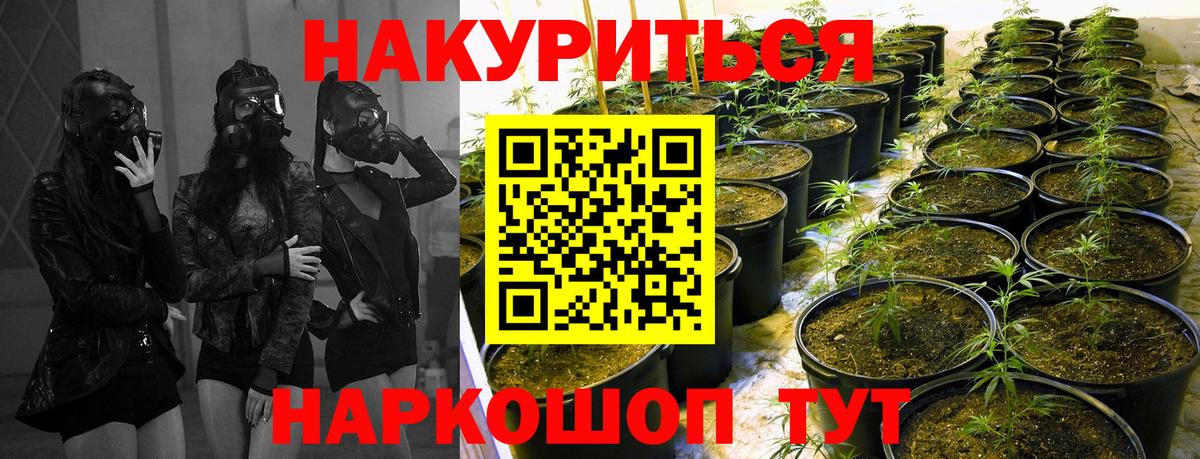 Бошки марихуана марихуана Елец